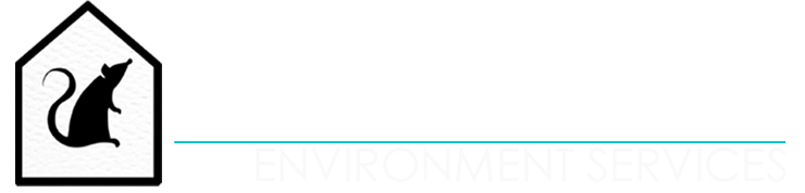 Bed Bugs Removal in Merseyside | Master Pest Tech