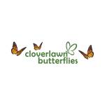 Cloverlawn Butterflies