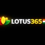 Lotus365m