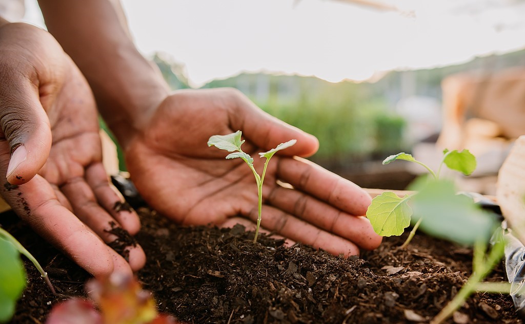 Get Jacron manufacturer China for apparel exporters India?