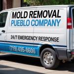 Mold Removal Pueblo