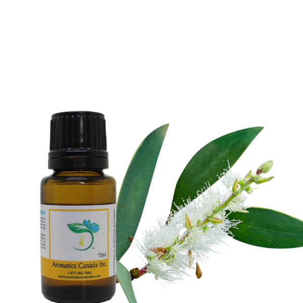 Niaouli Essential Oil - Aromatics Canada Inc.