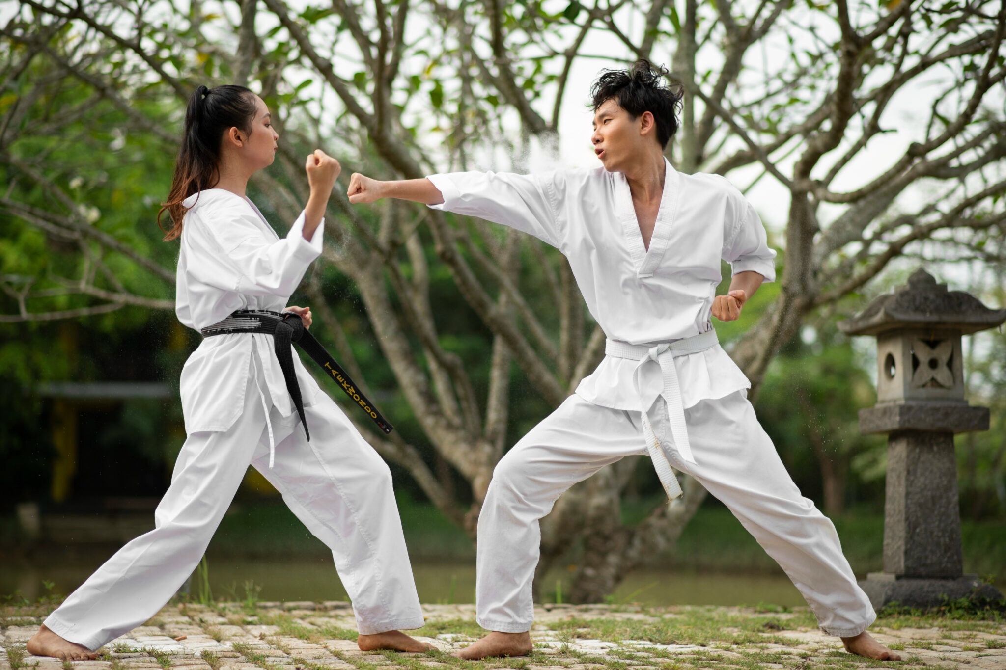 Taekwondo Training for Focus & Discipline | GTC Studio & Health