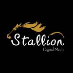 stallion Digital media