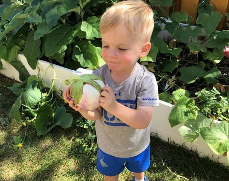 Fun Summer Camps Near Me: Daily Activities, Schedules & Benefits