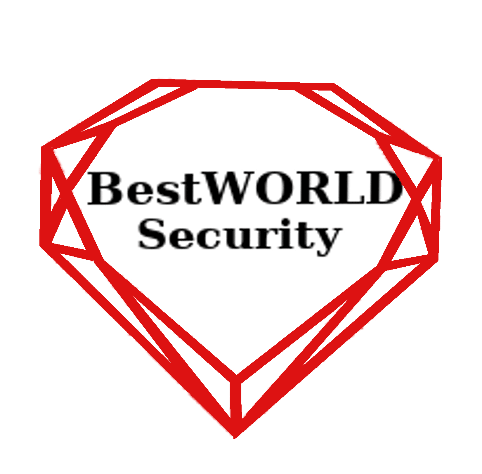 Security Contractor in Vancouver | BW Security Services Vancouver
