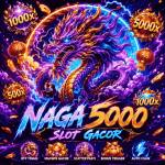 naga5000 5000
