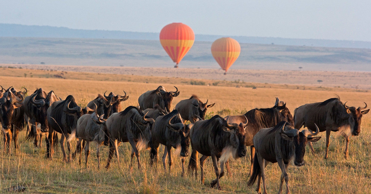 Kenya Tanzania Combined Safaris – East Africa Tours