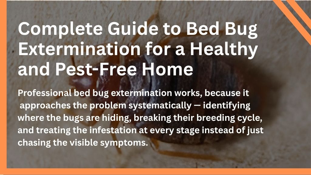 Complete Guide to Bed Bug Extermination for a Healthy and Pest-Free Home - Auzzie Pest Control