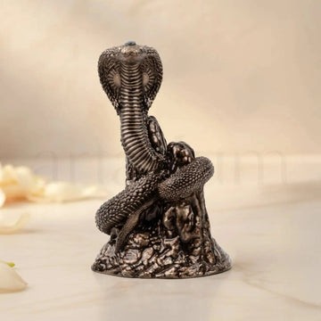 shiva murti