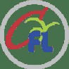 chintamani finlease