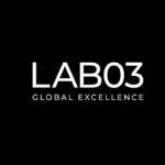 Lab 03