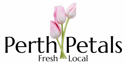 Thornlie Florist — Same-Day Delivery from Thornlie Square