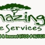 Amazing Service