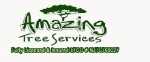 Amazing Service