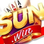Sun01 org